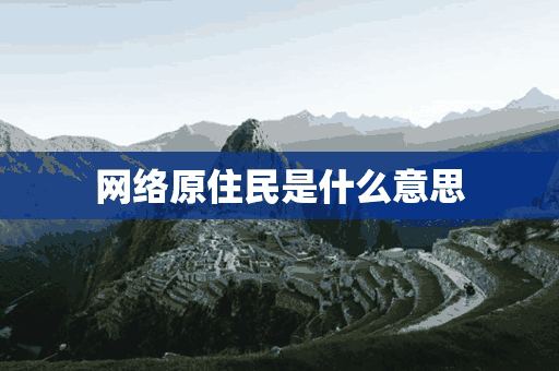 网络原住民是什么意思